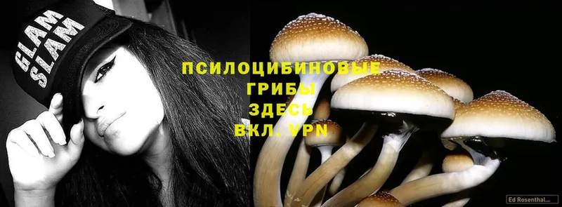 blacksprut ссылка  Нюрба  Галлюциногенные грибы Magic Shrooms  как найти  